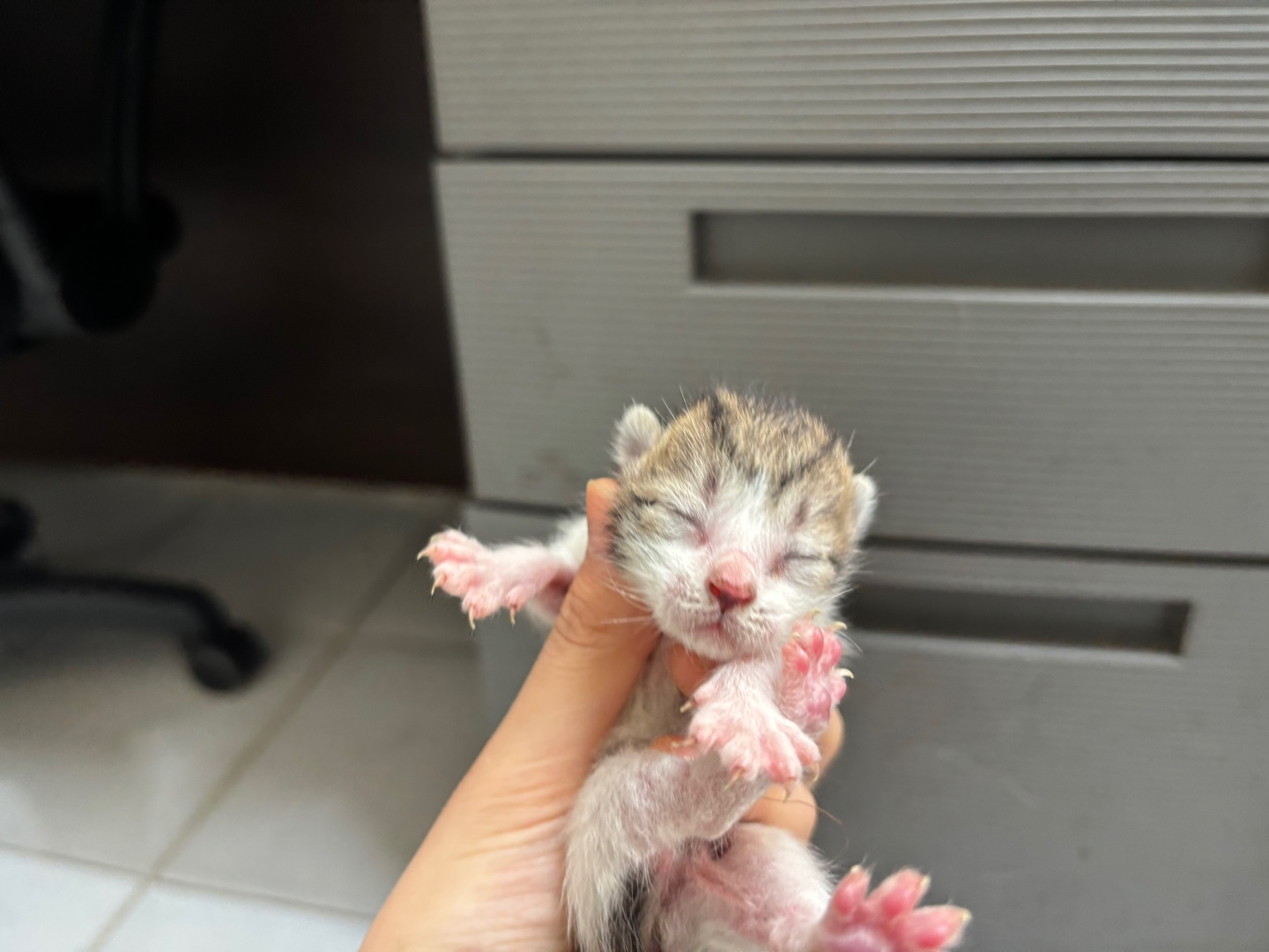 한국야생동물보호협회_441390202500219